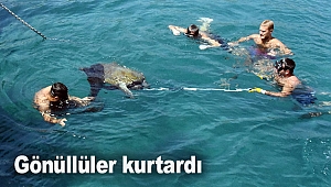 Gönüllüler kurtardı