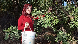 Hasadı için 12 yıl bekledi