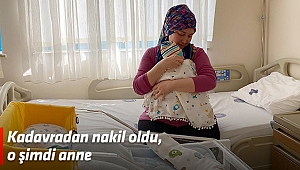 Kadavradan nakil oldu, o şimdi anne