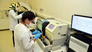 Kepez'den evlenecek 28 bin 293 çifte talasemi testi  