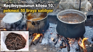 Kilosu 10, pekmezi 50 liraya satılıyor