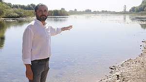 Kırkgöz can çekişiyor