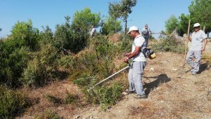 Mezarlıklarda kapsamlı temizlik
