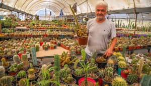 Ofisten sıkıldı kaktüs üretiyor