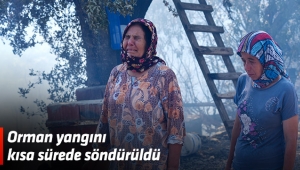 Orman yangını kısa sürede söndürüldü
