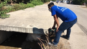 Sinekle mücadele devam ediyor