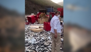 Tonlarca balık çevreye saçıldı