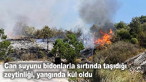 Yangında 15 yılın emeği kül oldu