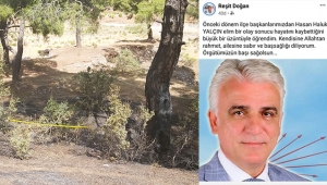 Ormanda cesedi bulundu