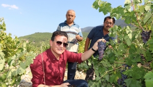 Yazır üzümü markalaşma yolunda