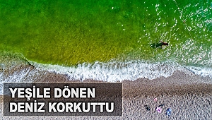 Yeşile dönen  deniz korkuttu