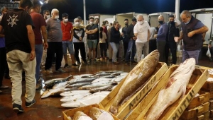 'Balık yiyerek, bağışıklığınızı artırın'