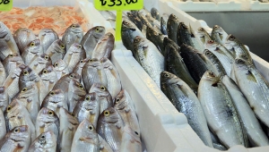 Balon balığını 'mezgit' diye satıyorlar iddiası