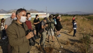 Boğaçayı, 150'den fazla kuş türüne ev sahibi