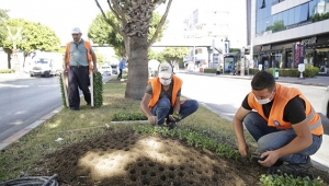 Çiçekler toprakla buluştu