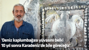 'Deniz kaplumbağası yuvasını belki 10 yıl sonra Karadeniz'de bile göreceğiz'