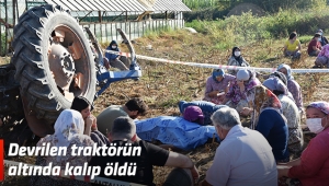 Devrilen traktörün altında kalıp öldü