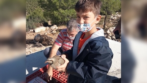 Doğaya keklik bırakıldı