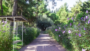 DokumaPark, her mevsim güzel