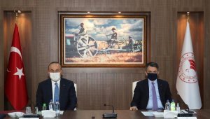 'Expo'nun kaderi şubatta belli olacak'