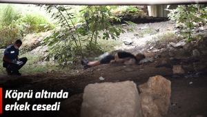 Köprü altında erkek cesedi