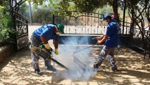 Sinekle mücadele hız kesmiyor