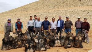 Söğle peynirinin kilosu 100 lira