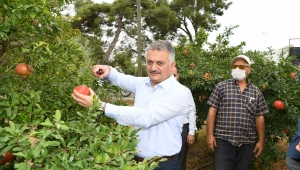 TARIMIN DA BAŞKENTİ 