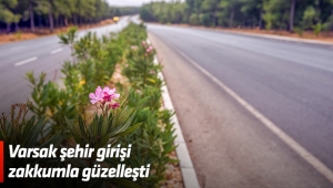 Varsak şehir girişi zakkumla güzelleşti