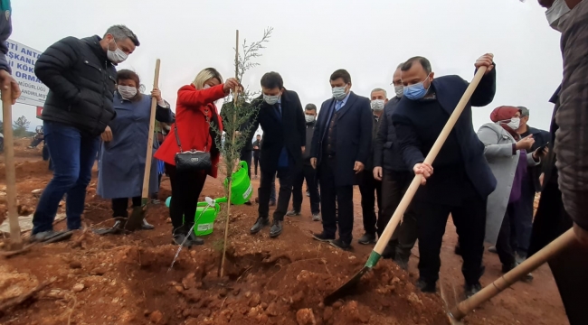 AK Parti’den hatıra ormanı