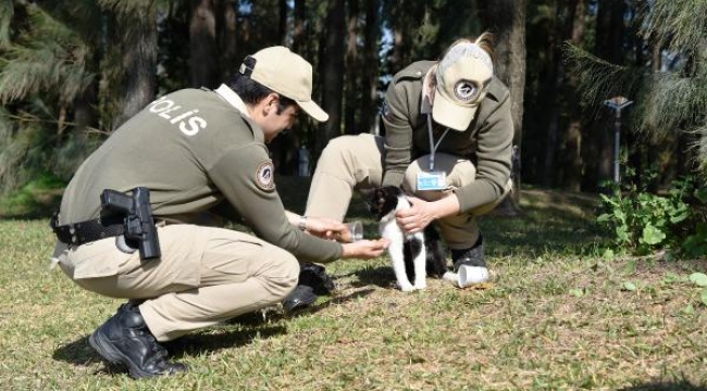 Hayvanları koruma polisi, sokak hayvanlarını besledi
