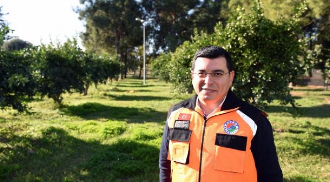 Kepez'den şehrin merkezine 332 dönüm yeşil alan