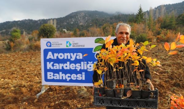 Antalya ile İzmit'in 'aronya' kardeşliği