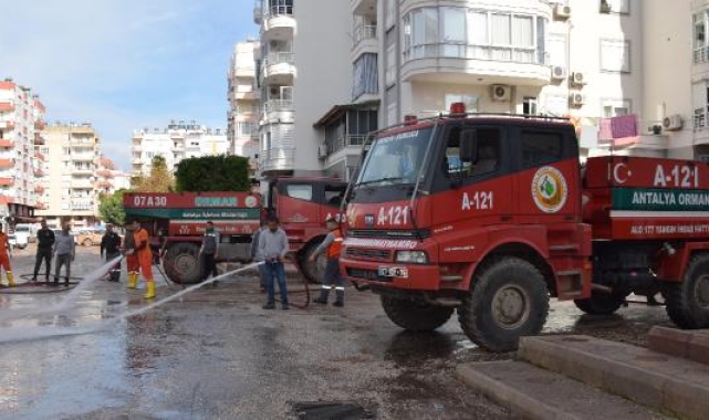 Yazın yangın, kışın sel felaketiyle mücadele ediyorlar