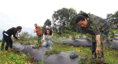 Bakanlıktan, ortakların çoğunluğu kadın olan kooperatiflere pozitif ayrımcılık
