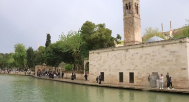 Depremden sonra selin etkilediği Şanlıurfa ve bölgesine destek için maliyetine turlar düzenleniyor