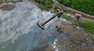 Efteni Gölü havzası son yağışlarla suya doydu
