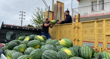 Erkenci karpuz yüzleri güldürdü