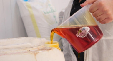 Kampüste üretilen kolonyalardan 3 milyon lira gelir elde edildi