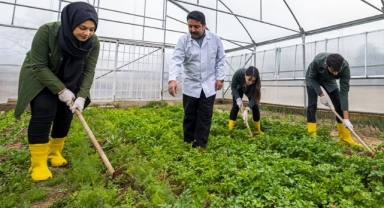 Milli Eğitim Bakanlığından tarım liseleri hamlesi