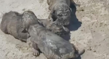 ÖLDÜREN DİKKATSİZLİK