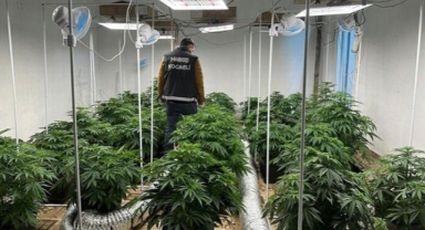 Villaya kenevir serası kurmuşlar