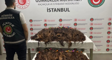  68 kilogram insan saçı ele geçirildi