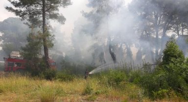 Aksu'da orman yangını