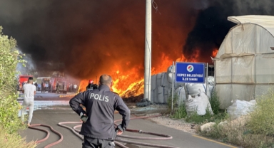 Antalya'da geri dönüşüm deposunda çıkan yangın seralara sıçradı