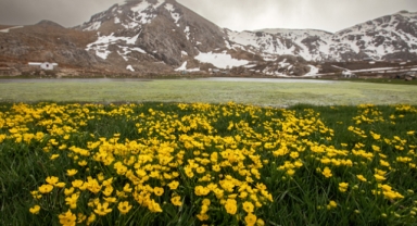 ‘ANTALYA'NIN ALPLERİ’