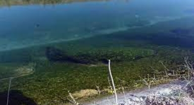 Arkadaşlarıyla oynarken sulama kanalına düşen 4 yaşındaki İshak, öldü