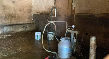 Düzce'de elektrik akımına kapılan kadın öldü