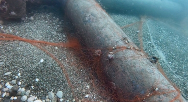 Hayalet ağ avcıları eğitimlere başladı