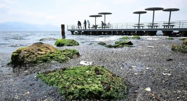 İzmir Körfezi için kirlilik uyarısı